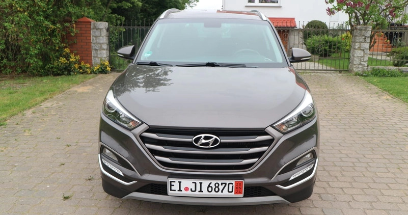 Hyundai Tucson cena 66900 przebieg: 96000, rok produkcji 2017 z Oleśnica małe 92